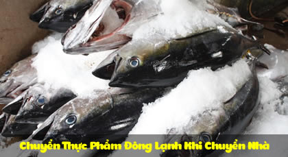 Chuyển Thực Phẩm Đông Lạnh Khi Chuyển Nhà