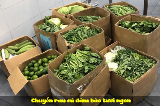 Chuyển rau củ đảm bảo tươi ngon