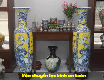 Vận chuyển lục bình khi chuyển nhà an toàn hiệu quả