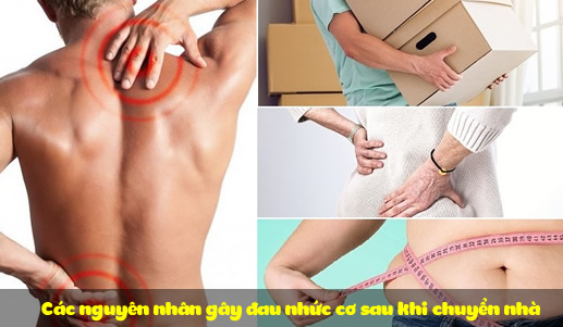 Các nguyên nhân gây đau nhức cơ sau khi chuyển nhà