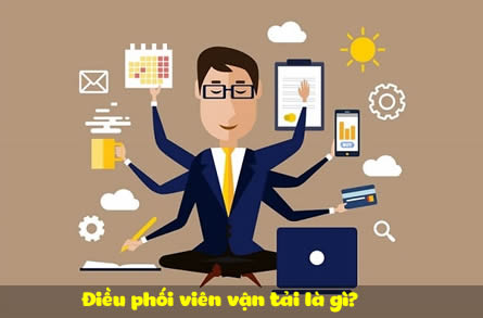 Điều phối viên vận tải là gì